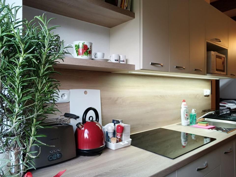 Pensiony A Ubytovani V Kempu Indiana Edrovice Extérieur photo